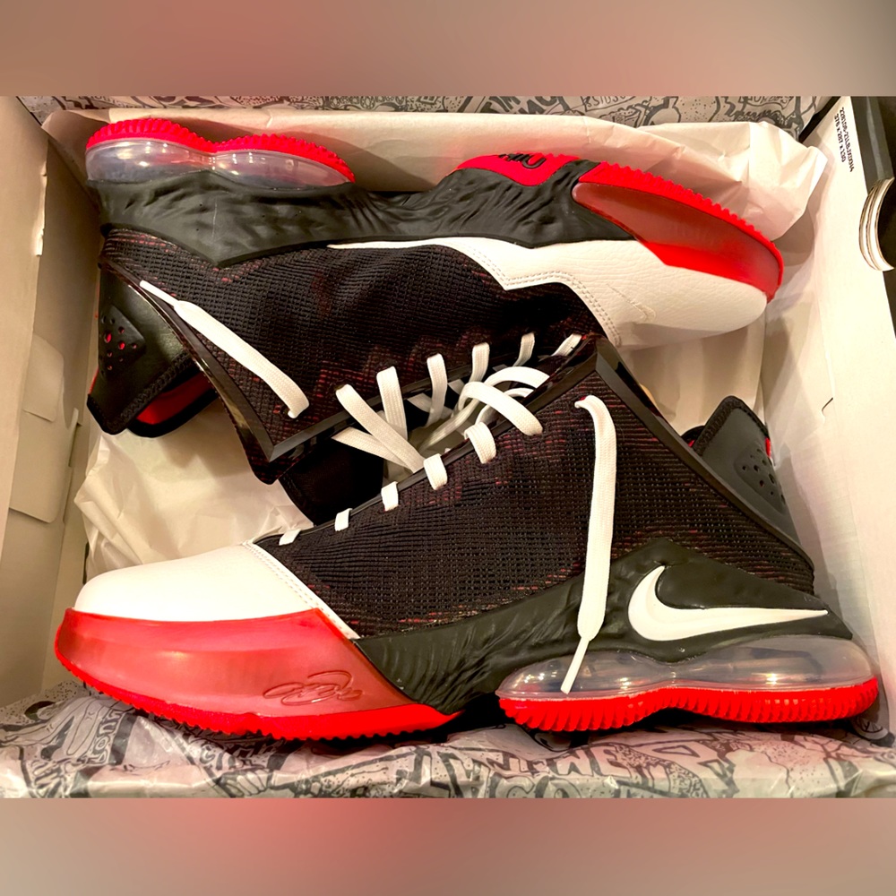 Brand new Nike Labron’s 19s in box never worn.